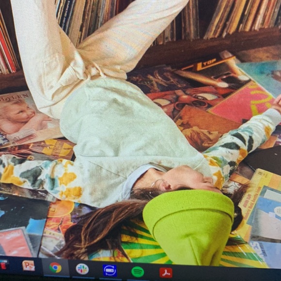 Jungmaven stained glass alpine raglan sweatshirt small clay green/mint - Picture 6 of 15